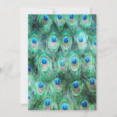エキゾチックな野生の孔雀の羽の誕生日パーティーの招待状 招待状 (裏面)