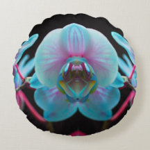 エキゾチックな青の蘭の反射