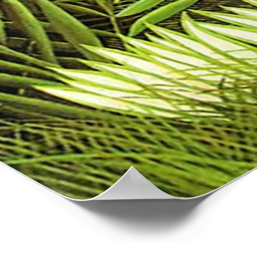 エキゾチックな風景バイアンリルーソー ポスター (角)