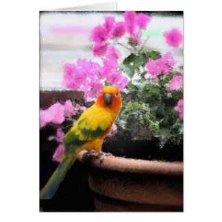 エキゾチックな鳥