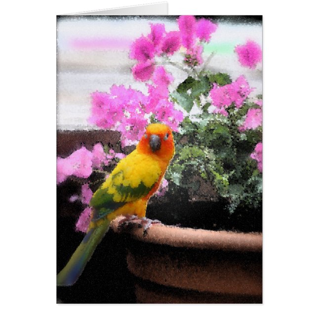 エキゾチックな鳥 (正面)