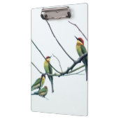 エキゾチックインディアンケラビーイーターバーズオンブランチ クリップボード (左)