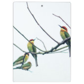 エキゾチックインディアンケラビーイーターバーズオンブランチ クリップボード (裏面)