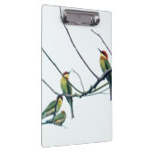 エキゾチックインディアンケラビーイーターバーズオンブランチ クリップボード (右)