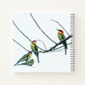 エキゾチックインディアンケラビーイーターバーズオンブランチ ノートブック (裏面)