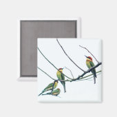 エキゾチックインディアンケラビーイーターバーズオンブランチ マグネット (正面/裏面)