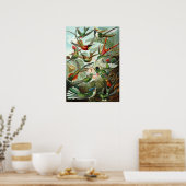 エキゾチックカラフルバードヴィンテージプリント ポスター (キッチン)