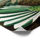 エキゾチックカラフルバードヴィンテージプリント ポスター (角)