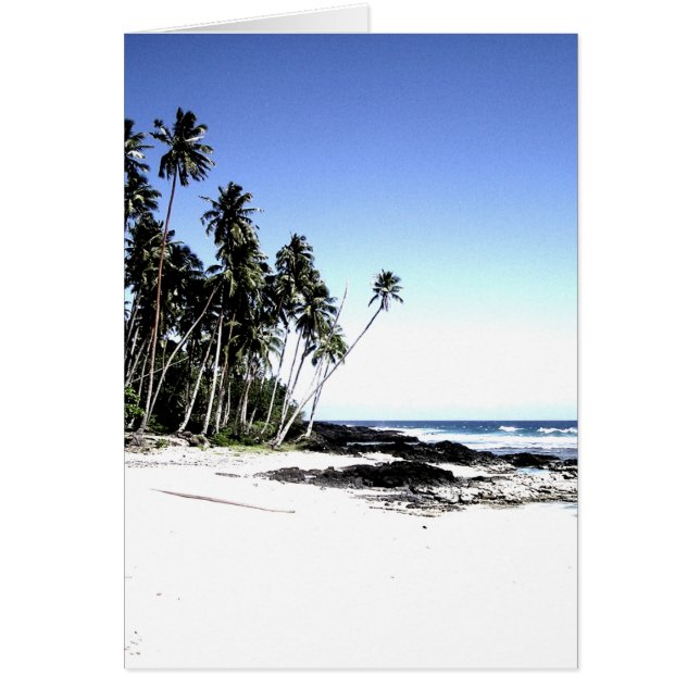 エキゾチックパームツリーズ&パラダイスビーチ (正面)