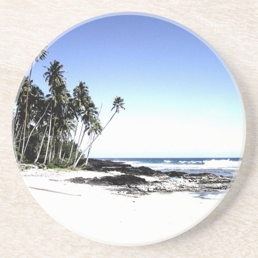 エキゾチックパームツリーズ&パラダイスビーチ コースター (正面)