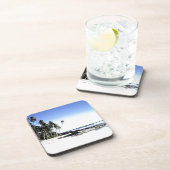 エキゾチックパームツリーズ&パラダイスビーチ コースター (右側)