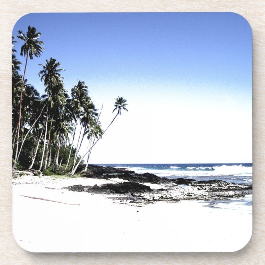 エキゾチックパームツリーズ&パラダイスビーチ コースター (正面)