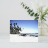 エキゾチックパームツリーズ&パラダイスビーチ ポストカード (スタンド正面)