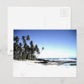 エキゾチックパームツリーズ&パラダイスビーチ ポストカード (正面/裏面)