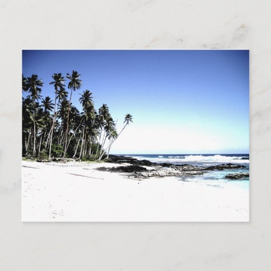 エキゾチックパームツリーズ&パラダイスビーチ ポストカード (正面)