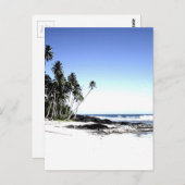 エキゾチックパームツリーズ&パラダイスビーチ ポストカード (正面/裏面)
