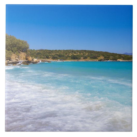 エキゾチックビーチトロピカルアイランド楽園 タイル (正面)