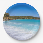 エキゾチックビーチトロピカルアイランド楽園 ペーパープレート (正面)