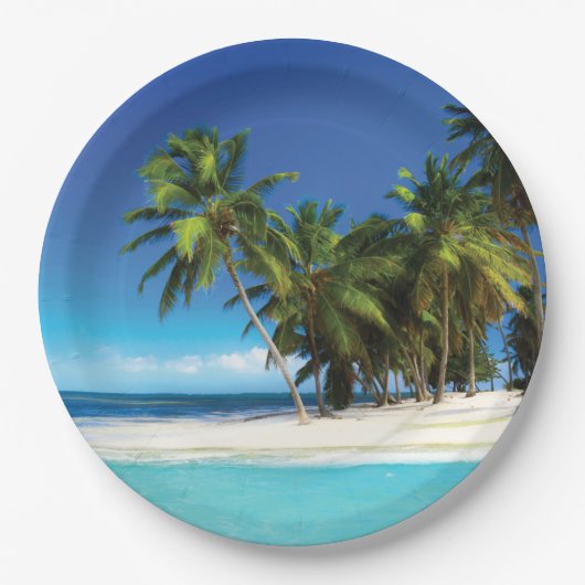 エキゾチックビーチ装飾用クッション ペーパープレート (正面)