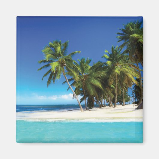 エキゾチックビーチ装飾用クッション マグネット (正面)