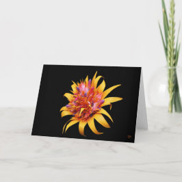 エキゾチックフローラグリーティングカード カード