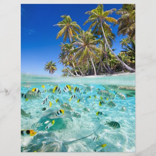 エキゾチック休暇 チラシ (正面)