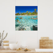 エキゾチック休暇 ポスター (キッチン)