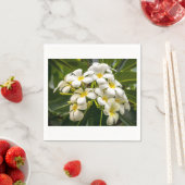 エキゾチック島プルメリアカクテルナプキン スタンダードカクテルナプキン (インサイチュ)