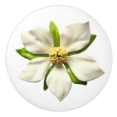 エキゾチック熱帯マグノリア結婚の花 セラミックノブ (正面)