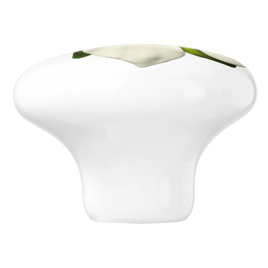 エキゾチック熱帯マグノリア結婚の花 セラミックノブ (側面)