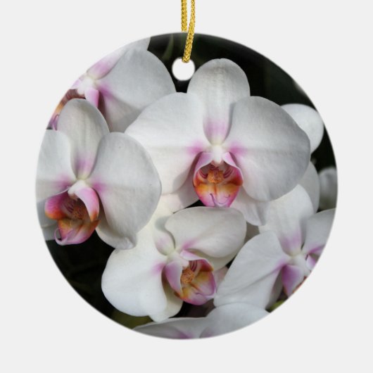 エキゾチック白い蘭の花。ハッピーバースデー。 セラミックオーナメント (正面)