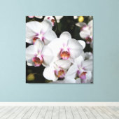 エキゾチック白い蘭の花。花の写真 キャンバスプリント (インサイチュ (ウッドフロア))