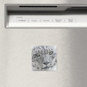 エキゾチック白ユキヒョウ写真 マグネット (インサイチュ (食洗機))