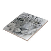 エキゾチック白ユキヒョウ タイル (側面)