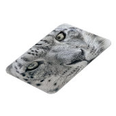 エキゾチック白ユキヒョウ マグネット (左側)