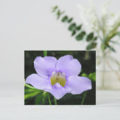 エキゾチック花 ポストカード (スタンド正面)