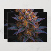 エキゾチック雑草 ポストカード (正面/裏面)