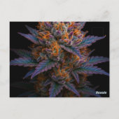 エキゾチック雑草 ポストカード (裏面)