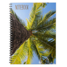 エキゾチック鮮やかなヤシの木