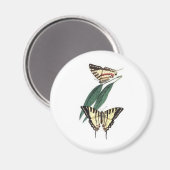 エキゾチック鳥冷蔵庫用マグネット マグネット (正面/裏面)