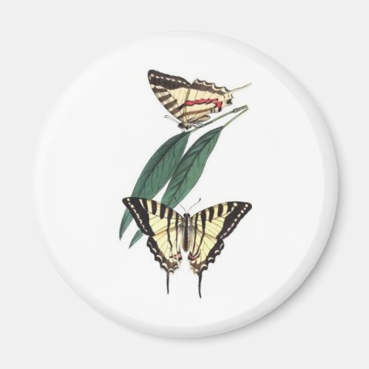 エキゾチック鳥冷蔵庫用マグネット マグネット (正面)