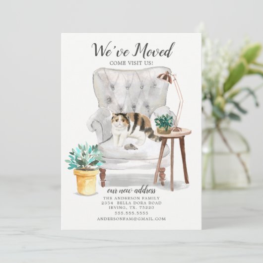 エキゾチック・ショートヘアの猫の動きのお知らせ 案内状 (スタンド正面)