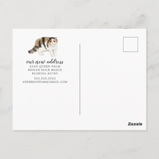 エキゾチック・ショートヘアの猫の動き案内はがき ポストカード (裏面)