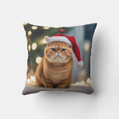 エキゾチック・ショートヘア・クリスマス クッション (裏面)