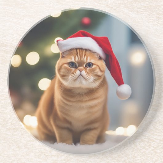 エキゾチック・ショートヘア・クリスマス コースター (正面)