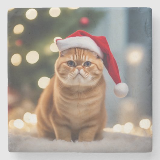 エキゾチック・ショートヘア・クリスマス ストーンコースター (正面)