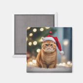 エキゾチック・ショートヘア・クリスマス マグネット (正面/裏面)
