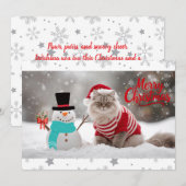 エキゾチック ショートヘア 猫のクリスマス オーダーメイド (正面/裏面)