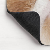 エキゾチック・ショートヘア（2,5歳） マウスパッド (コーナー)