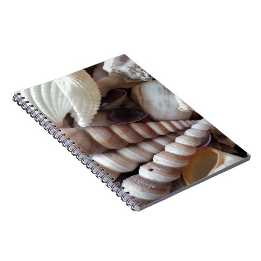 エキゾチック・シーシェルズコレクションサマービーチ ノートブック (右側)